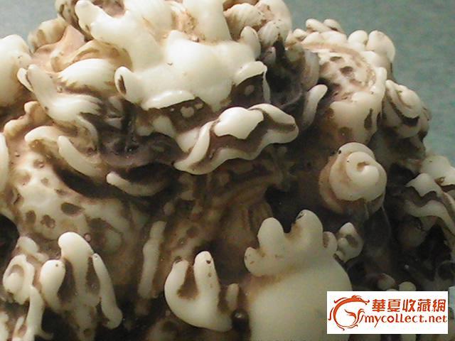 九转乾坤谁可一辨?