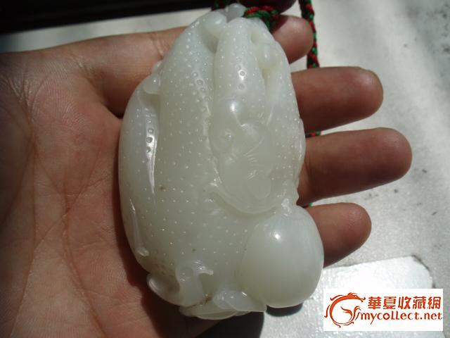 大佛手0元拍.是不是漏您自己想吧._大佛手0元