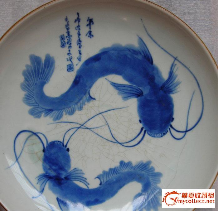 鲶鱼 >年余