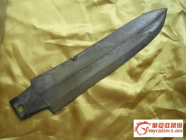 无格斜从扁茎剑