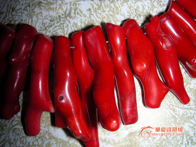 红珊瑚