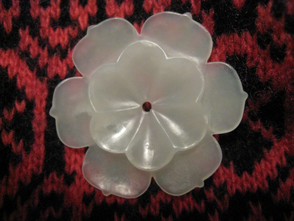 宝贝玉花