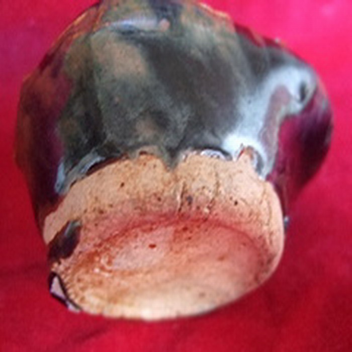 明代黑釉葡萄形水盂,来自藏友易藏阁-陶瓷-明清