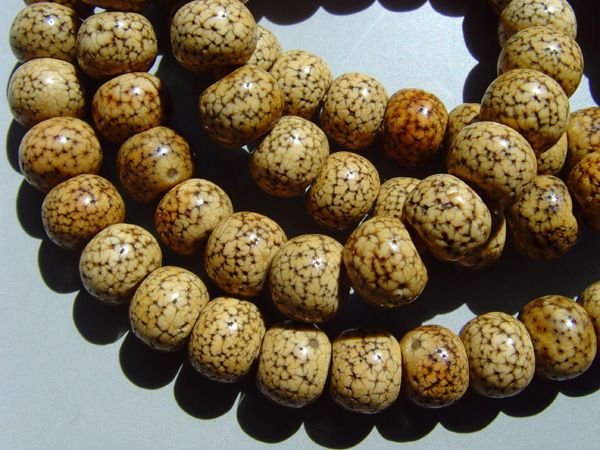 老星月菩提,开片均匀,非常漂亮_老星月菩提,开