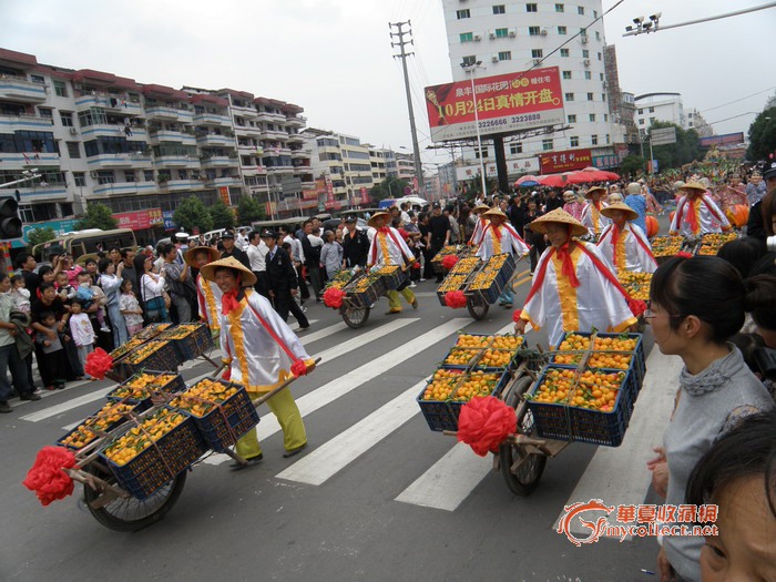 2009南丰国际蜜桔节踩街活动图片欣赏,来自藏