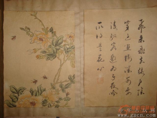 蒋廷锡草虫册页
