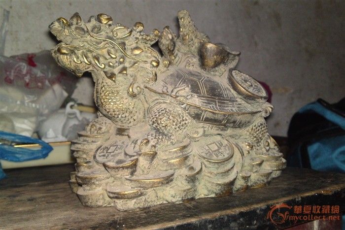 龙头龟_龙头龟鉴定_来自藏友hocheungwai