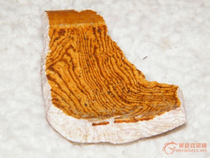 【宋代当阳裕羽纹绞胎】_【宋代当阳裕羽纹绞