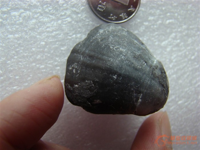 请大师们看看这个贝壳化石是什么年代的?_