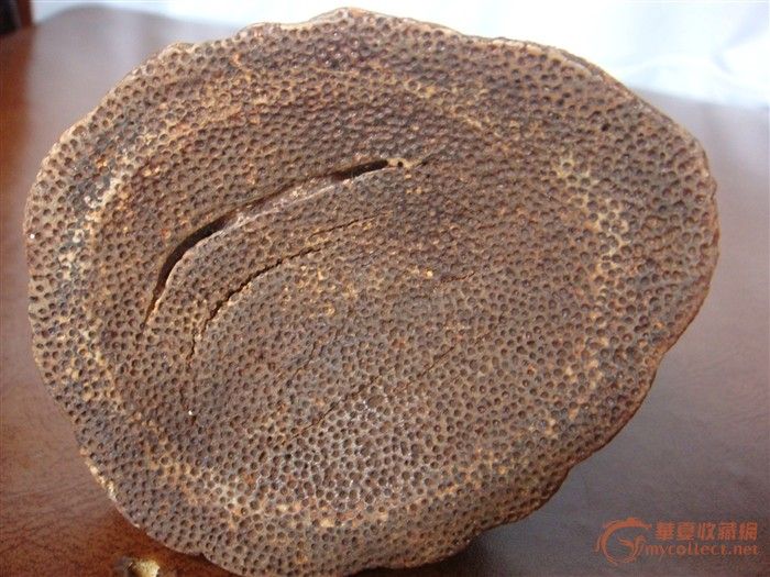 完整犀牛角_完整犀牛角鉴定_来自藏友渔夫传