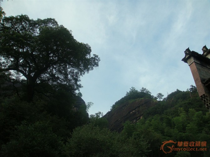 寻茶--走进武夷山《三坑二涧》_寻茶--走进武夷