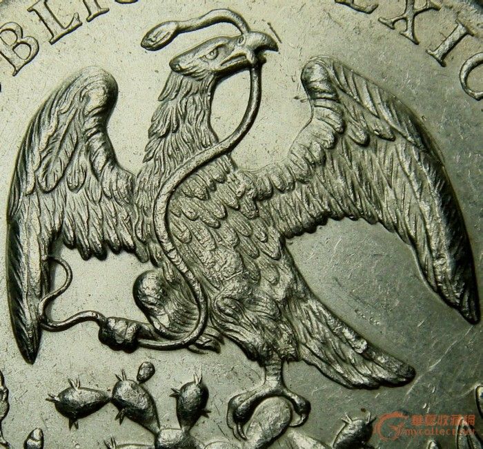 【银币世界】老鹰与蛇的关系_【银币世界】老