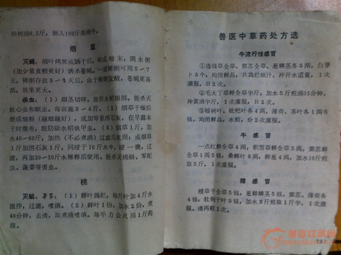 里面详细记录了每种药草的特性与用法,还有兽医处方,灭害虫中药都详细