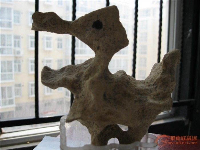 沂河里捡的石头_沂河里捡的石头鉴定_沂河里