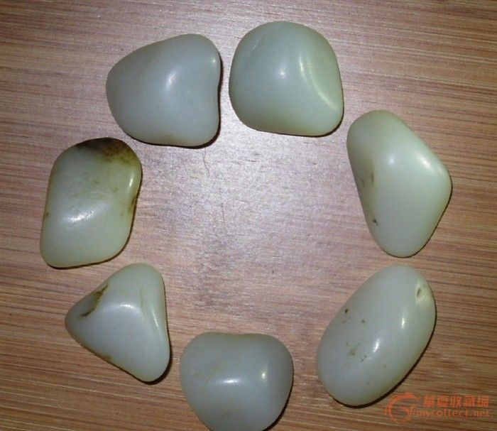 今天牵回七头猪,各位老师随评哈!_今天牵回七