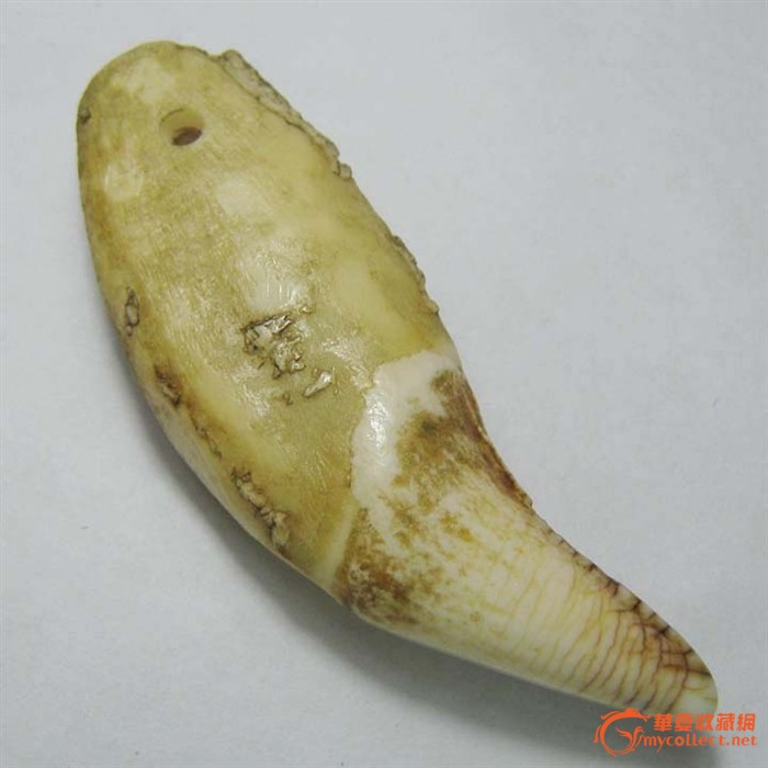 什么牙齿?