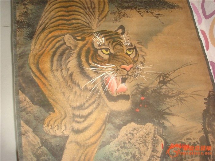 一张虎画_一张虎画鉴定_来自藏友xie1340352
