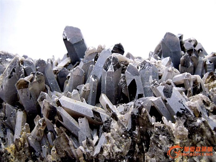 黑水晶簇,来自藏友小泰瑞-杂项-奇石-藏品鉴定