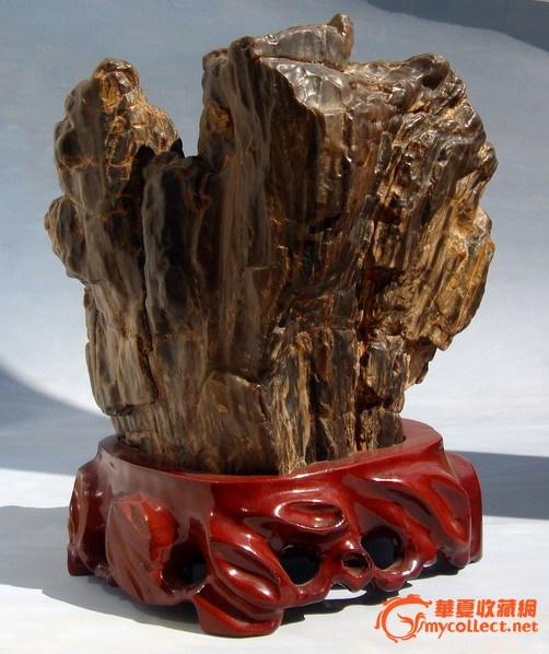 古树硅化石摆件,来自藏友jobn5257-杂项-奇石-