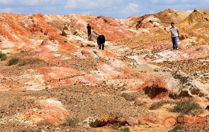 《280万的戈壁彩玉》你怎么看?_《280万的戈壁彩玉》你怎么看?鉴定_来自藏友海燕001_玉石鉴定_其它玉石鉴定_古玩鉴定估价_华夏收藏网