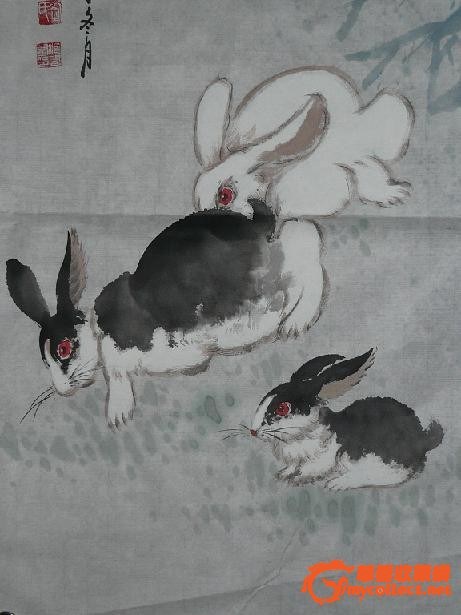 画兔子-图2