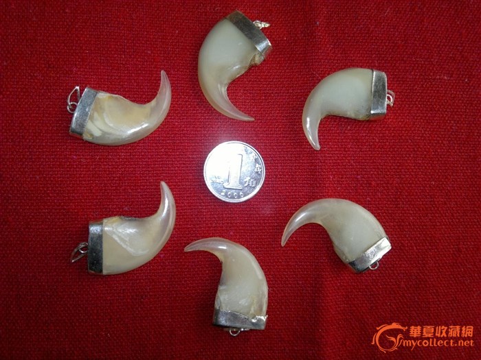 银镶虎爪吊坠                    