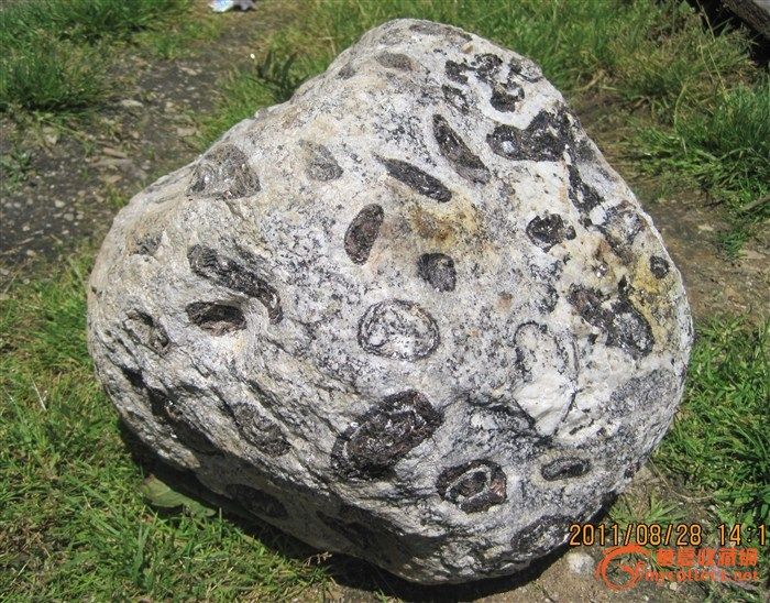 喜马拉雅山的神石、天眼石,来自藏友瓷侠佐罗