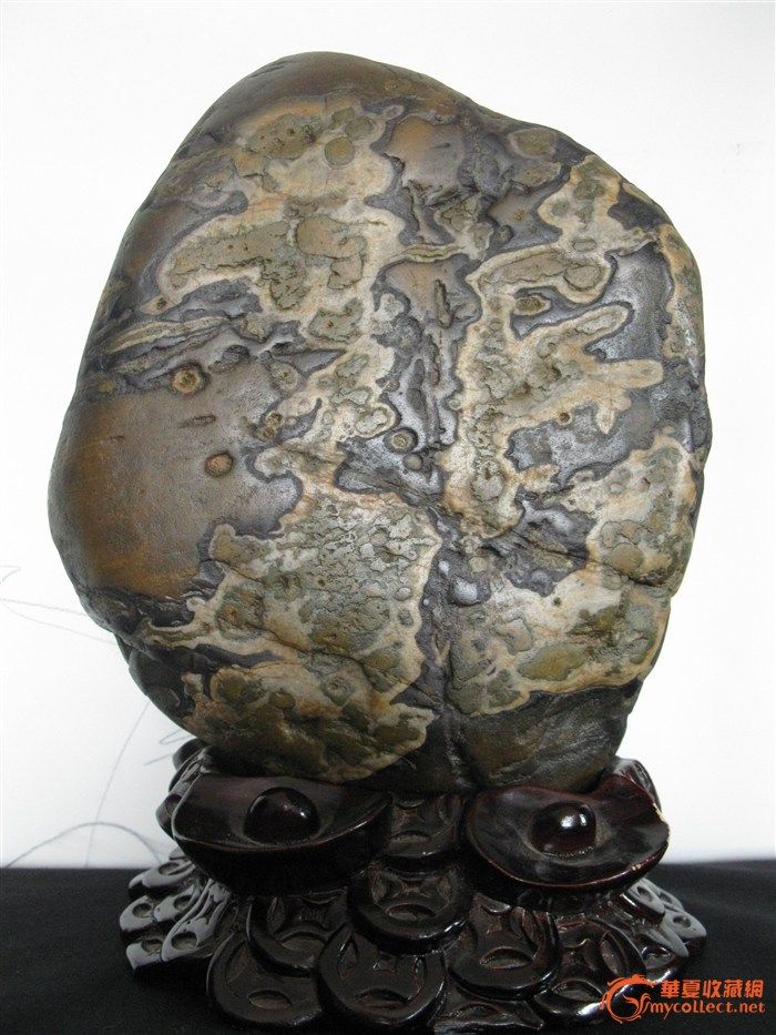 奇石巧雕---迎新春---文字石 龙 _奇石巧雕---迎新