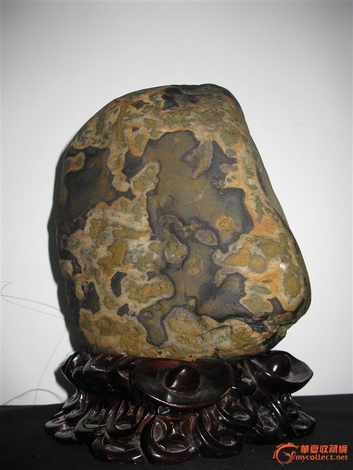 奇石巧雕---迎新春---文字石 龙 _奇石巧雕---迎新