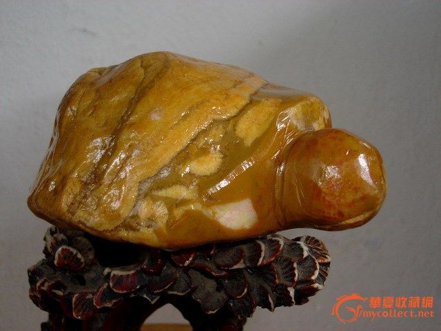 奇石巧雕---千年神龟_奇石巧雕---千年神龟鉴定