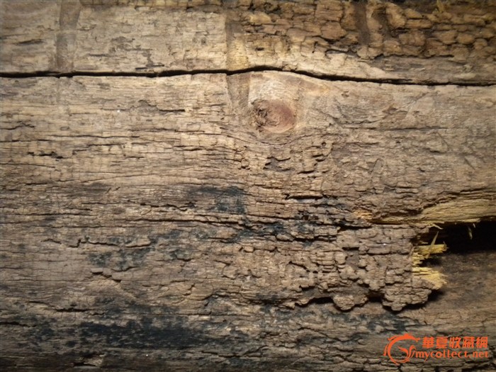 发现于贵州的老料金丝楠木2_发现于贵州的老