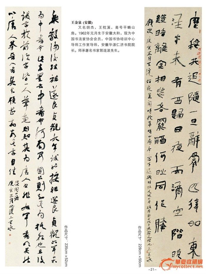 中国最具升值潜质百位书法家--王金泉 作品赏析