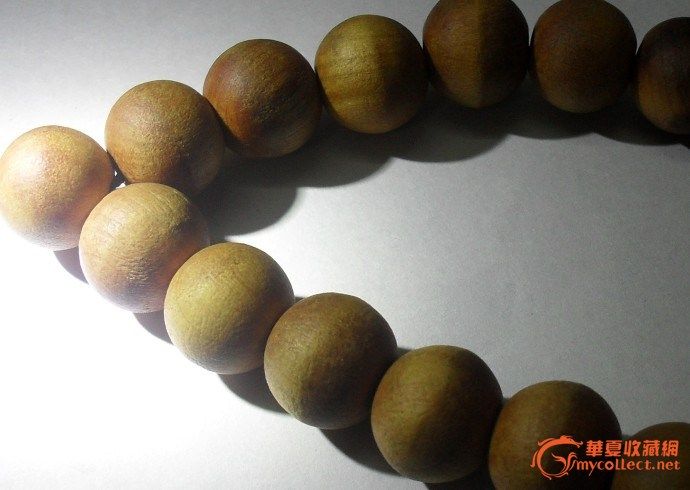 云南西双版纳自然保护区弄的沉香_云南西双版