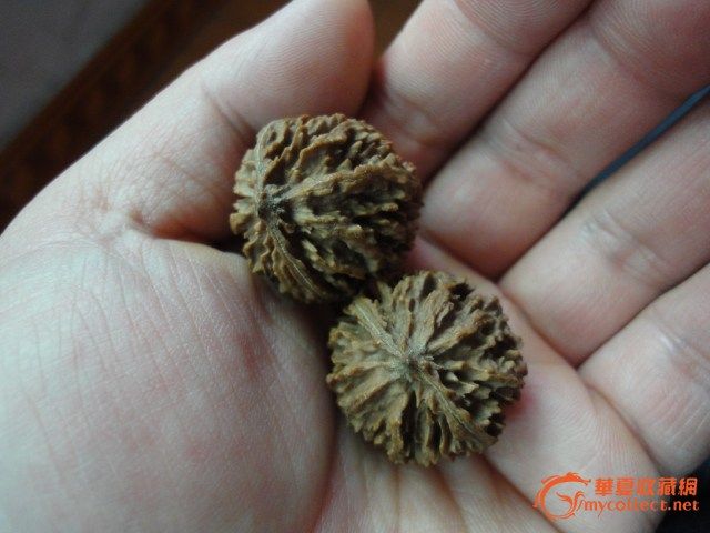 请老师看看是什么品种?是文玩核桃吗?,来自藏