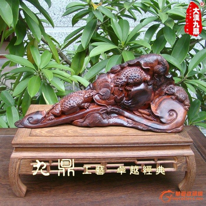 荷叶金蟾图片