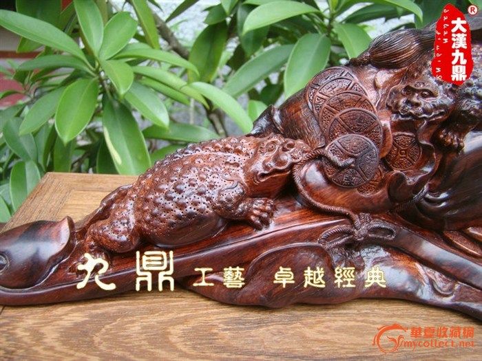 荷叶金蟾图片