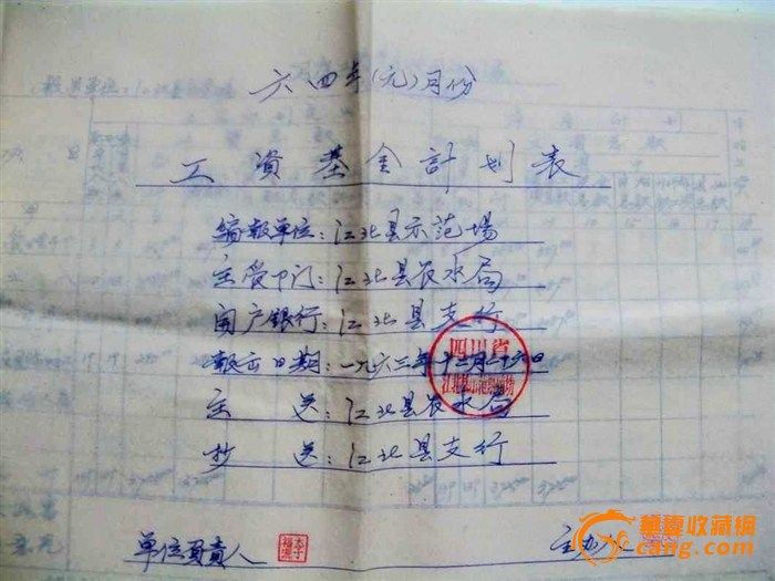 年度计划表模板_员工年度收入计划表(2)