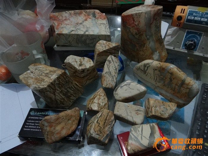 花坑的世界 透绿的海洋_花坑的世界 透绿的海