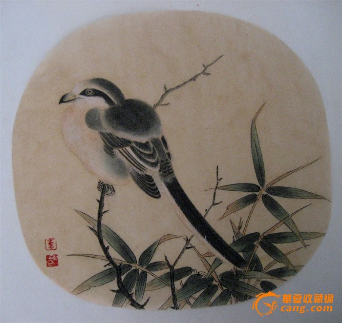 仿古工笔国画小品《竹鸠图》