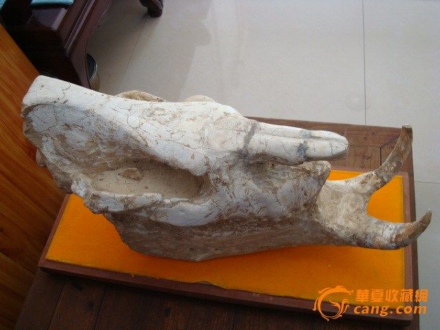 长度:62厘米,宽度:22厘米