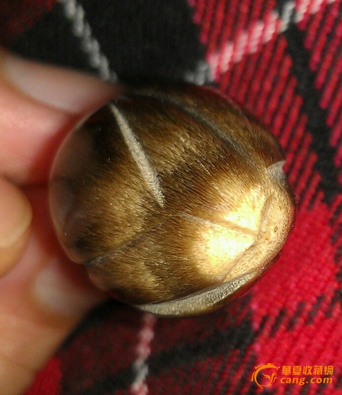 各位老师, 这是犀角吗? 我朋友卖给我的.怕是假