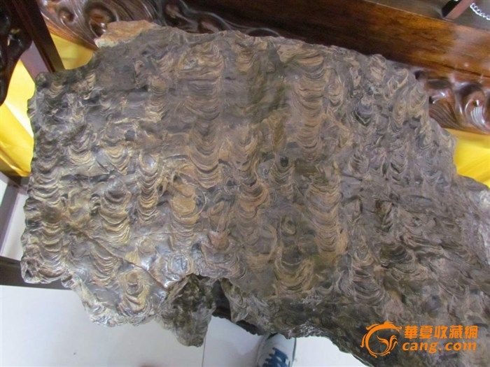 【奇石】雅贡-----灵璧金钱石 厅堂摆件_【奇石】雅贡-----灵璧金钱石 厅堂摆件鉴定_【奇石】雅贡-----灵璧金钱石 厅堂摆件估价_【奇石】雅贡-----灵璧金钱石 厅堂摆件真假辨别_来自藏友溜溜溜_杂项_奇石_古玩鉴定估价_华夏收藏网