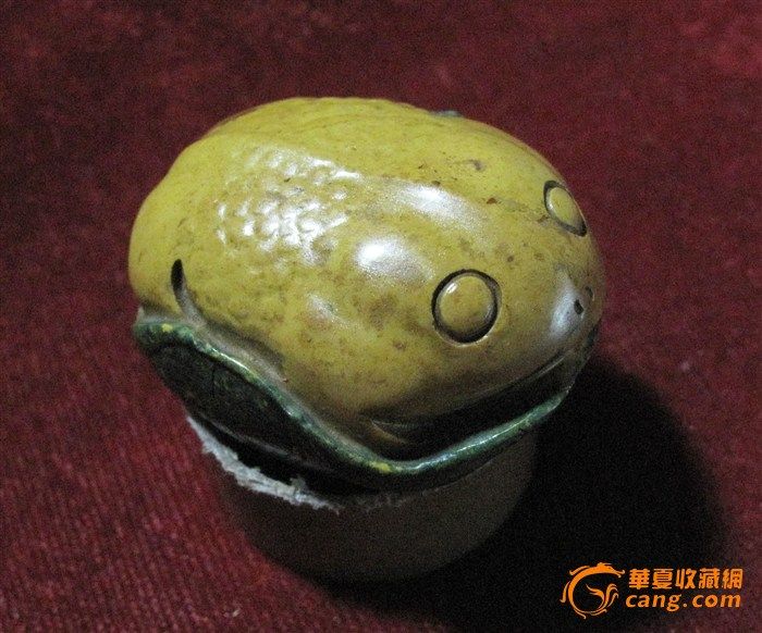 荷叶金蟾图片
