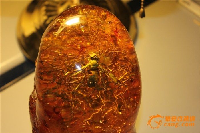 特大琥珀摆件,内有大黄蜂和其他昆虫及植物。