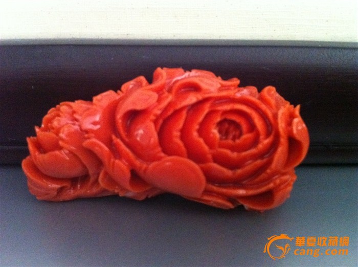 花开牡丹之红珊瑚
