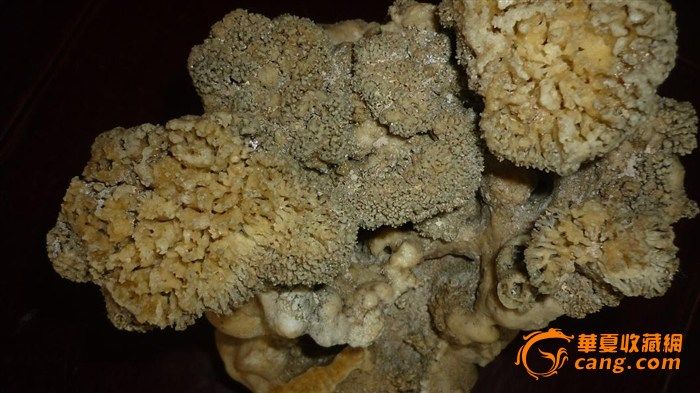 上水石花艳艳开_上水石花艳艳开鉴定_上水石