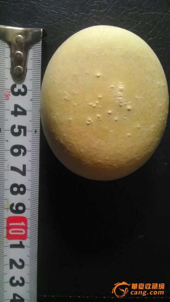 狗 宝 (狗结石),来自藏友老百姓321-珠宝-其它-藏