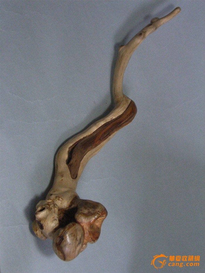 请各位给这个妖精起个名字。谢谢。_请各位给