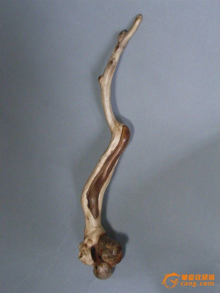 请各位给这个妖精起个名字。谢谢。_请各位给