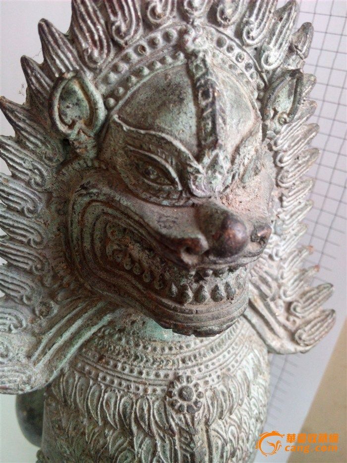 追求让梦想花开作文_追求让梦想花开征文_追